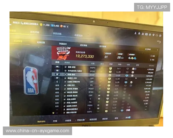 NBA球员市场价值变化,nba球员市场价值变化图