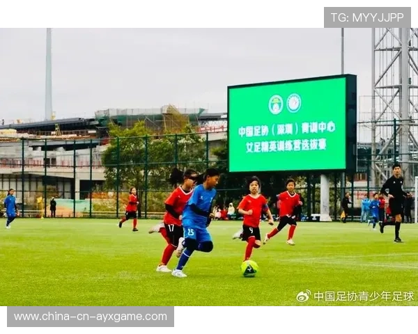 2026年足球青训资源共享平台功能扩展，足球青训营报名条件